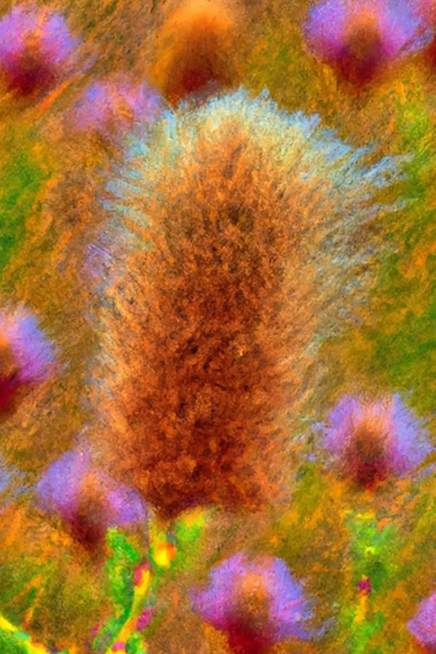 Main Image Supporting the Content of Brave: A Collection of Poems from the Depths of Despair